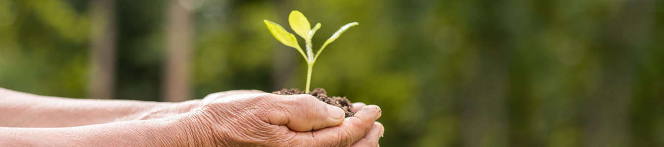 Sustainability-banner